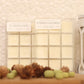 Fall Pumpkin Bundle 2