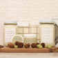 Fall Pumpkin Bundle 1