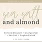 Sea Salt & Almond - Mini Body Cream